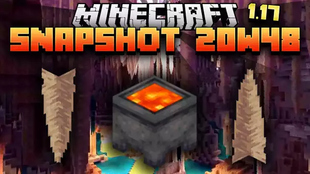 Minecraft 1.17 - Snapshot 20w48 - Stalactites et BAN HAMMER bedrock