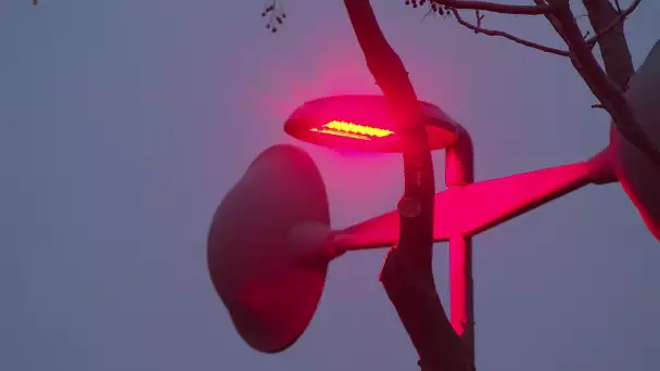 Pézenas : la ville teste un éclairage rouge sur les parkings car moins nocif pour la faune locale