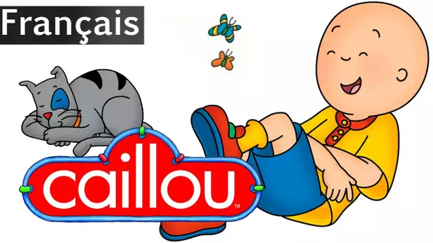 Caillou FRANÇAIS - Caillou Pour 4.5 Heures! | conte poaur enfant | dessin animé