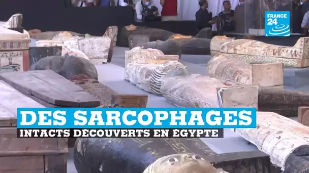 Une centaine de sarcophages intacts découverts en Égypte