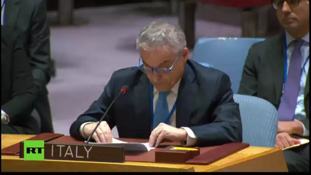 Conseil de sécurité de l'ONU : Maintien de la paix et de la sécurité en Ukraine