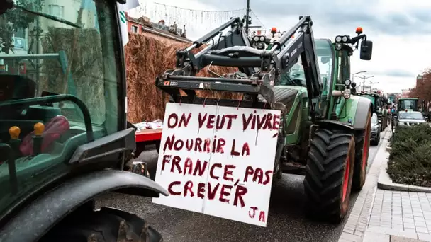 "On a veillé toute la nuit" : sur l'A8, les agriculteurs du sud de la France persistent