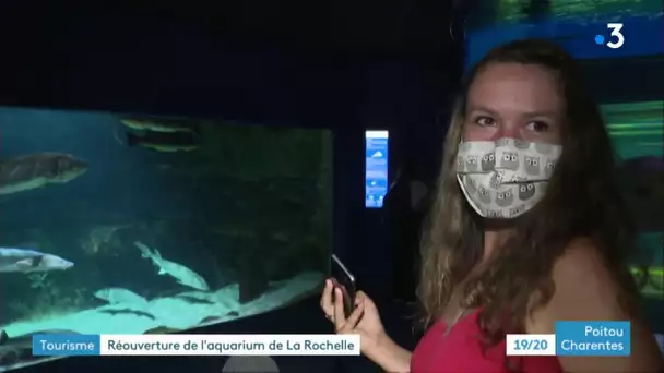 Coronavirus : réouverture de l'aquarium à La Rochelle
