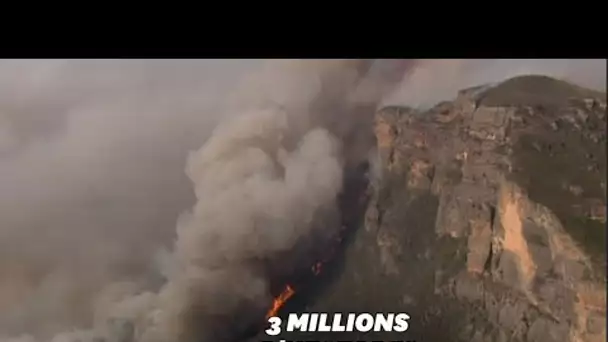 En Australie, les images des incendies monstres vues du ciel