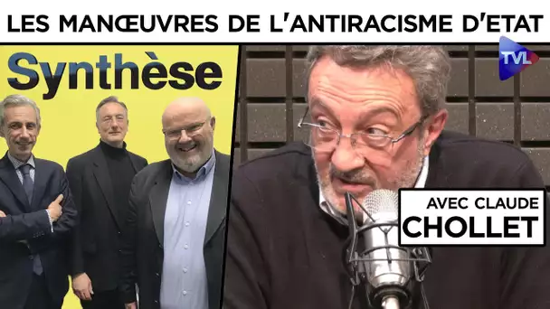 Les manœuvres de l'antiracisme d'Etat - Synthèse - TVL