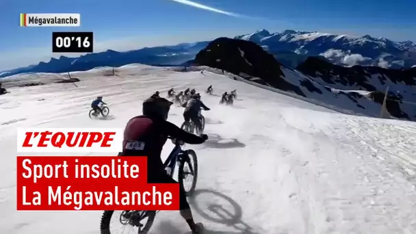 Sport insolite : La Mégavalanche