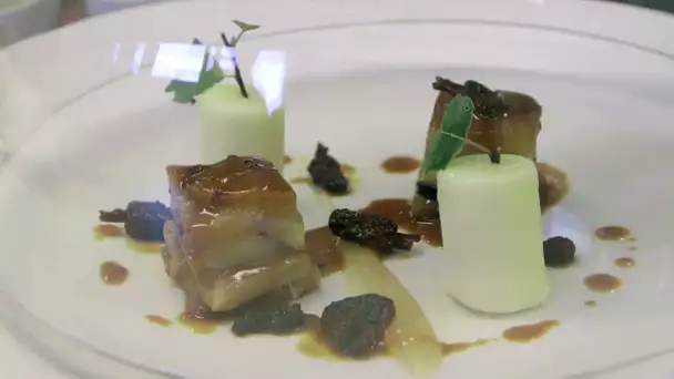 Découvrez le secret des champignons sauvages 🍄