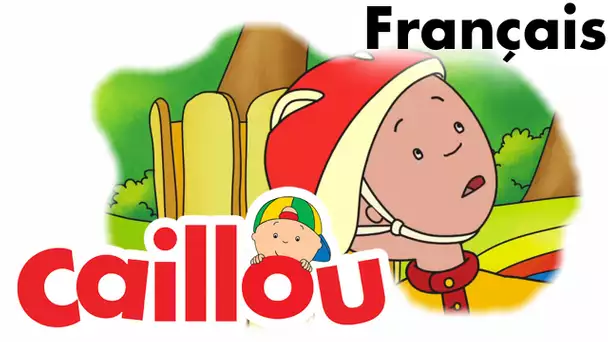 Caillou FRANÇAIS - Photo de lapin (S05E02) | conte pour enfant | Caillou en Français