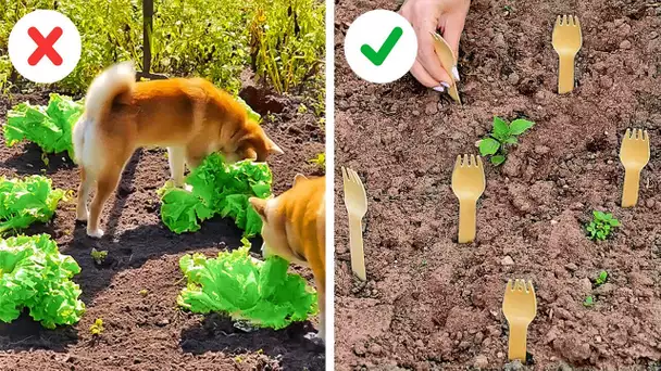 IDÉES POUR ORGANISER TON JARDIN ET ASTUCES POUR FAIRE POUSSER DES PLANTES