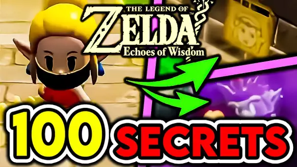 100 SECRETS que vous avez LOUPÉ dans ZELDA ECHOES OF WISDOM ! 🕵️ (Analyse & Théorie 2eme TRAILER)