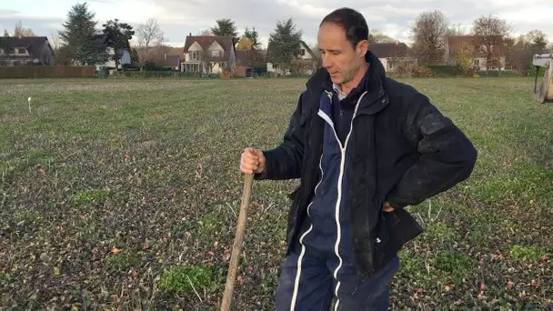 Yvelines – Un numéro vert baptisé "Ici la Terre" pour connecter consommateurs et agriculteurs