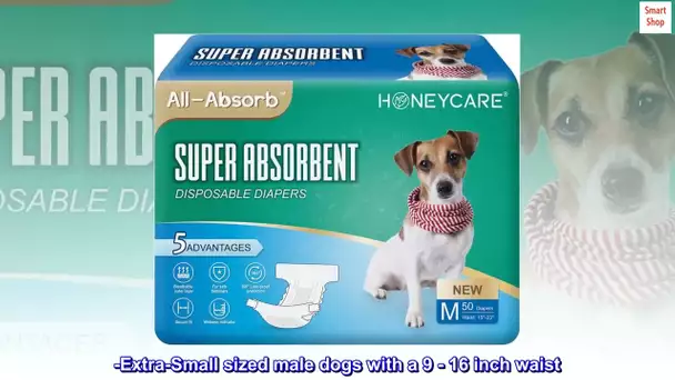 All-Absorb Disposable Female Dog Diapers, Medium