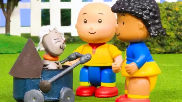 Caillou en Français | Caillou la Baby-sitter | dessin animé en entier | NOUVEAU 2019