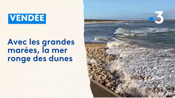Grandes Marées : des dunes encore grapillées en Vendée