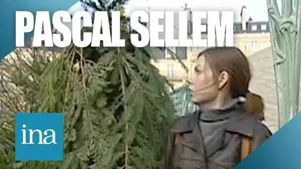 Pascal Sellem se déguise en sapin | Archive INA