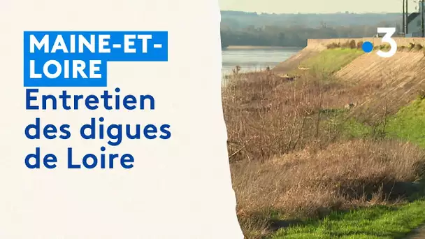 La coûteuse gestion des digues de la Loire confiée aux collectivités locales