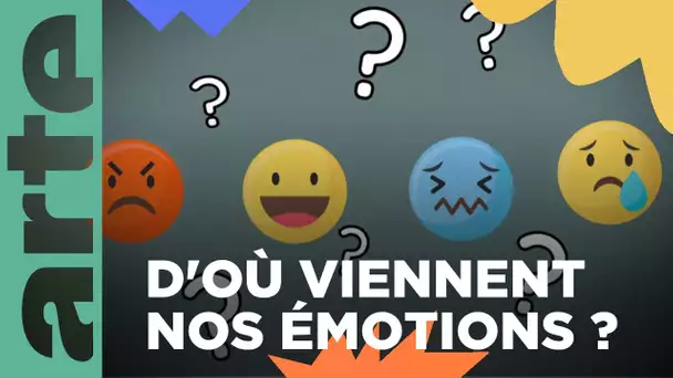 Comment naissent nos émotions ? | Vos questions | ARTE Family