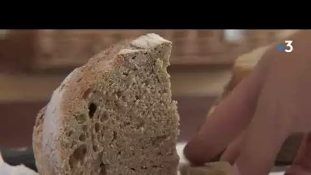À Uzeste (Gironde), 250 habitants s'associent en coopérative pour reprendre la boulangerie