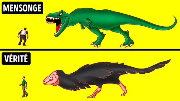 Les dinosaures différaient de ceux des films, et 30 autres mythes auxquels nous croyons encore