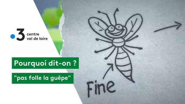 Pourquoi dit-on : pas folle la guêpe !