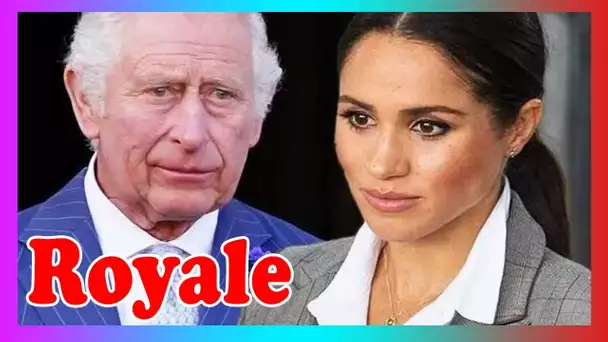 l'allié ''Irony'' de Meghan s'en prend à Charles pour un nouve@u complot ''suspect'' de Lilibet