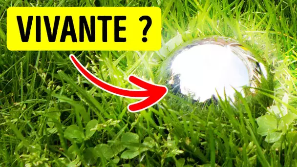 Ils ont Trouvé une Boule d’Acier qui se Déplaçait Toute Seule