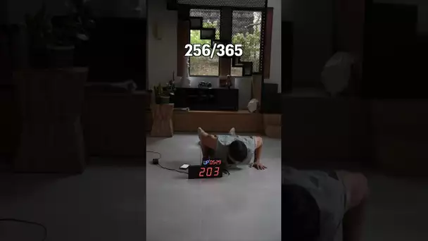 Day 256/365 One more push up everyday during 1 year ! 🔥