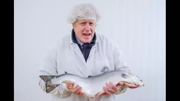 Brexit : la pêche, argument de négociation des Britanniques