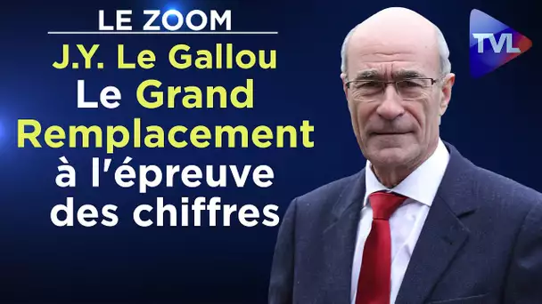 Le Grand Remplacement à l'épreuve des chiffres - Le Zoom - Jean-Yves Le Gallou - TVL