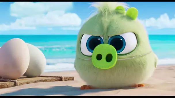 EXTRAIT - ANGRY BIRDS COPAINS COMME COCHONS
