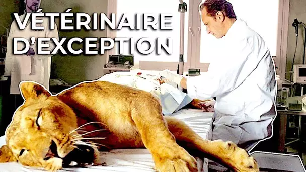 Vétérinaires d'exception