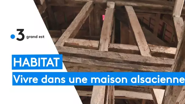 Habitat : les jeunes adoptent les maisons typiques alsaciennes