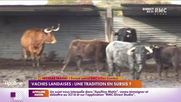 Dans les Landes, la saison des courses vient de se terminer