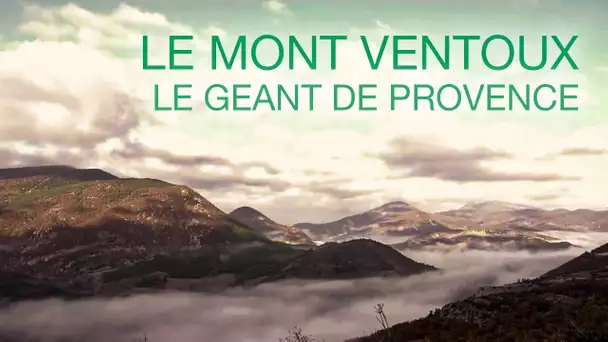 Le Mont Ventoux, le géant de Provence