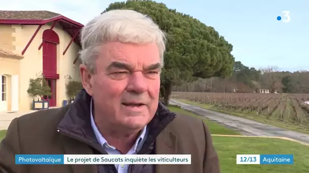 Le projet Horizeo inquiete les vignerons de Pessac Leognan
