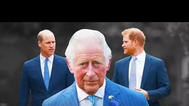 Le roi "incapable d'unir son clan" alors que la querelle entre Harry et William s'approfondit