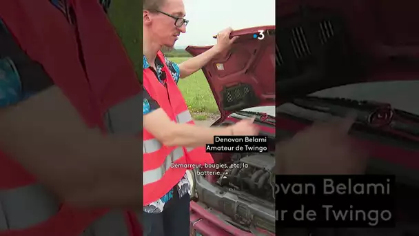 Rassemblement de Twingo en Lorraine à l'occasion des 30 ans de la petite auto Renault