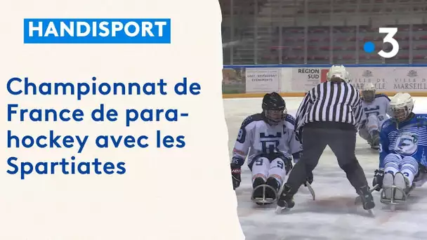 Championnat de France de para hockey : rencontre avec l'équipe des Spartiates