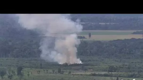 Brésil : feu de déforestation en forêt amazonienne