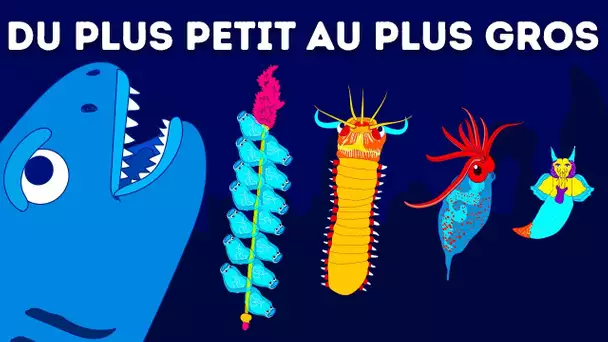 50 Créatures Qui Prouvent Que Nous ne Savons Rien de l'Océan