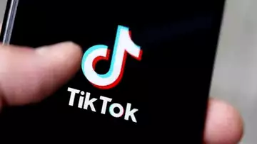 TikTok : Un écureuil rouge devient la nouvelle star du réseau social !