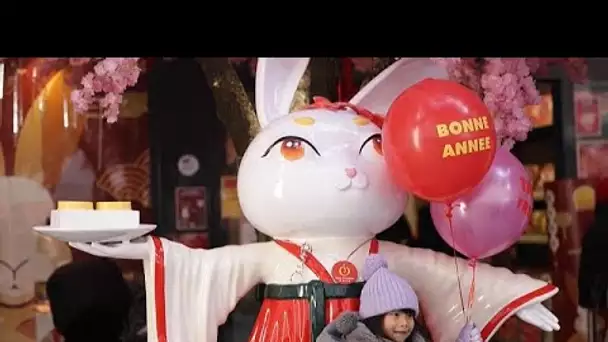 Paris : les dragons dansent à nouveau pour célébrer le Nouvel An chinois
