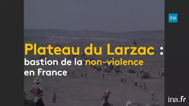 Plateau du Larzac : l'apprentissage de la non-violence | franceinfo INA