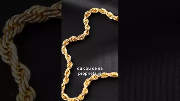 Un homme vole 19 chaînes en or au festival des Solidays