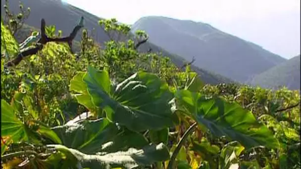 Guadeloupe : 3 randonnées - Vidéo COMPLETE