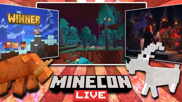 MINECON 2019 - 1.15 Nether update, script API, minecraft dungeons, toutes les infos