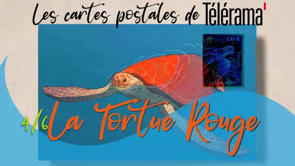 Les cartes postales de “Télérama” (4/6) : "La Tortue Rouge"
