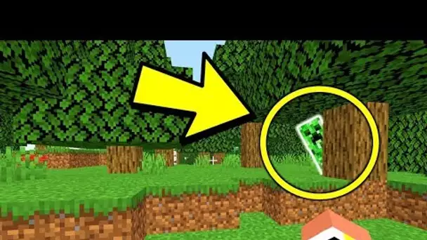 SI JE CROISE UN CREEPER LA VIDEO S'ARRETE MINECRAFT