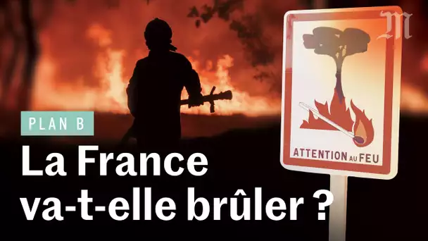 Incendies : la France est-elle prête ?