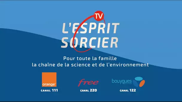 L'ESPRIT SORCIER TV - BANDE ANNONCE DÉCEMBRE 2022